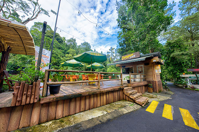 Safari Resort, Destinasi Unik di Jantung Taman Safari Indonesia