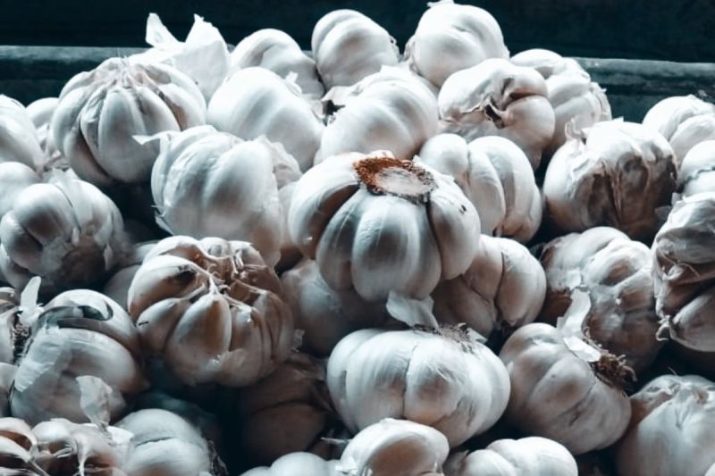 Pemkab Biak pastikan kebutuhan bahan pokok Idul Adha mencukupi Pemkab Biak pastikan kebutuhan bahan pokok Idul Adha mencukupi
