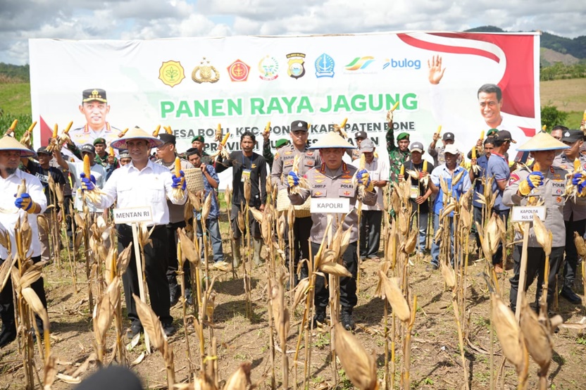 Kapolri-Mentan panen raya jagung di Bone, dukung program ketahanan pangan nasional