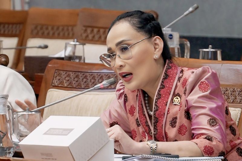 Anggota DPR: Media nasional mati perlahan jika tak revisi UU Penyiaran Anggota DPR: Media nasional mati perlahan jika tak revisi UU Penyiaran