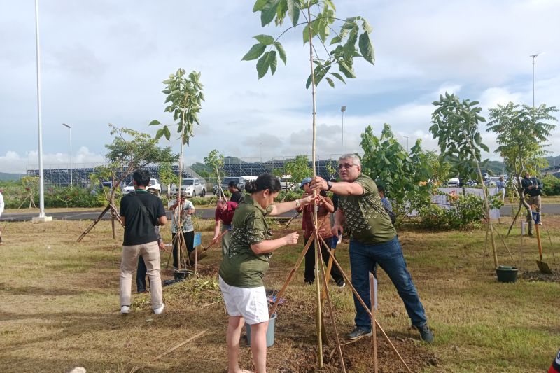 Delegasi IGS tanam pohon di kawasan Sirkuit Mandalika Delegasi IGS tanam pohon di kawasan Sirkuit Mandalika