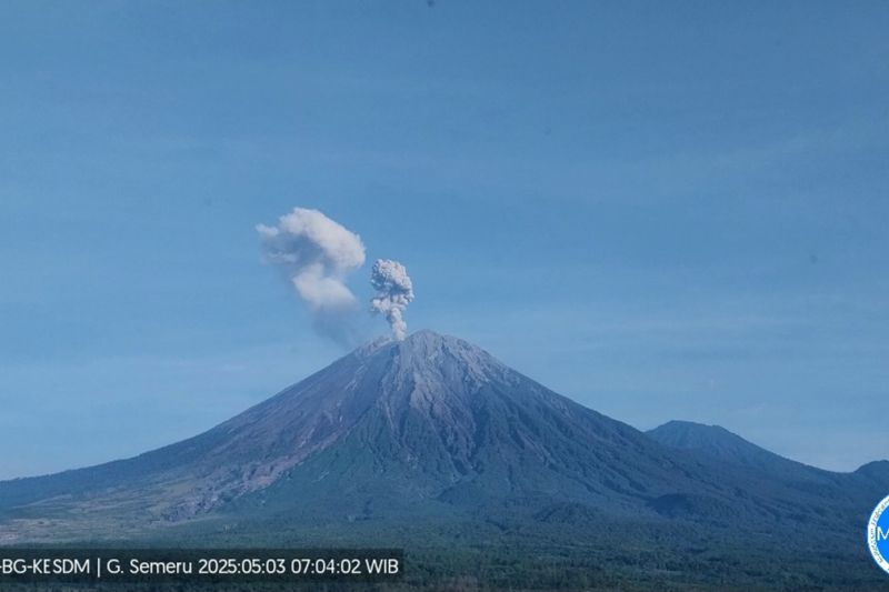 Gunung Semeru tiga kali erupsi dengan letusan hingga 900 meter Gunung Semeru tiga kali erupsi dengan letusan hingga 900 meter