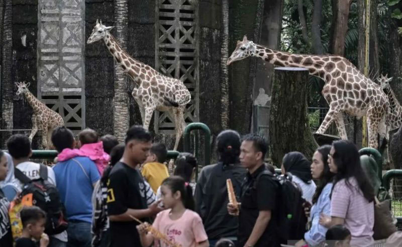 42.365 orang kunjungi Margasatwa Ragunan pada libur Waisak 42.365 orang kunjungi Margasatwa Ragunan pada libur Waisak