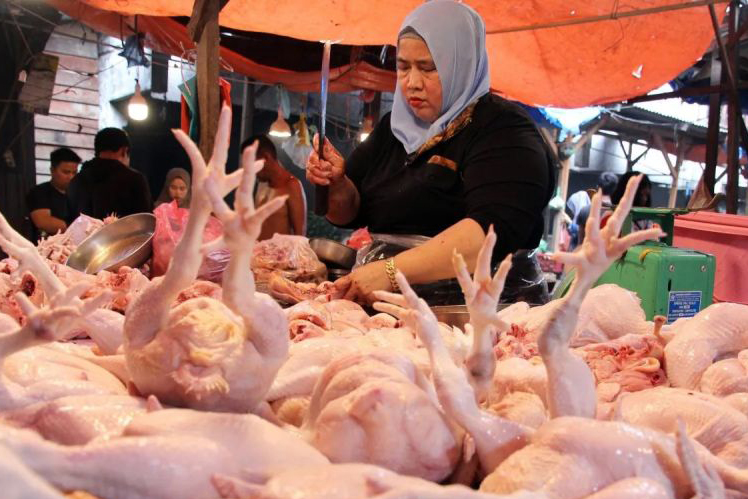 Bapanas: Harga daging ayam Rp33.285/kg, cabai rawit merah Rp61.687/kg