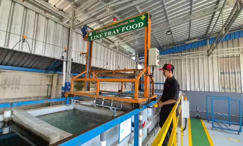 Cipta perdana lancar (PART) Food Tray Produk dalam negeri, Mitra Strategis MBG 100% Halal Cipta perdana lancar (PART) Food Tray Produk dalam negeri, Mitra Strategis MBG 100% Halal
