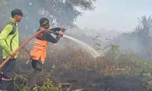 BMKG: Asap karhutla di Aceh Selatan bisa menyebar ke kabupaten lain BMKG: Asap karhutla di Aceh Selatan bisa menyebar ke kabupaten lain
