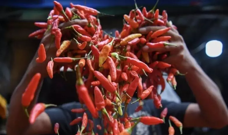 Bapanas: Harga cabai rawit Rp42.487/kg, bawang merah Rp44.452/kg Bapanas: Harga cabai rawit Rp42.487/kg, bawang merah Rp44.452/kg