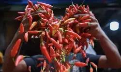 Bapanas: Harga cabai rawit Rp42.487/kg, bawang merah Rp44.452/kg
