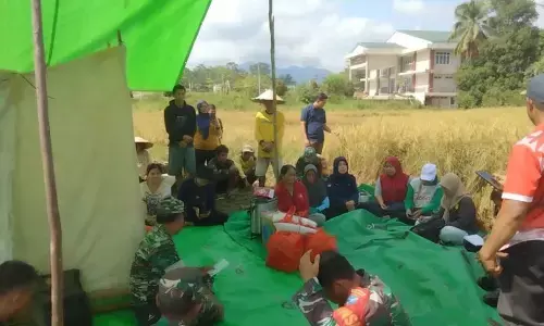 Panen padi bersama di Bengkayang momentum perkuat ketahanan pangan Panen padi bersama di Bengkayang momentum perkuat ketahanan pangan