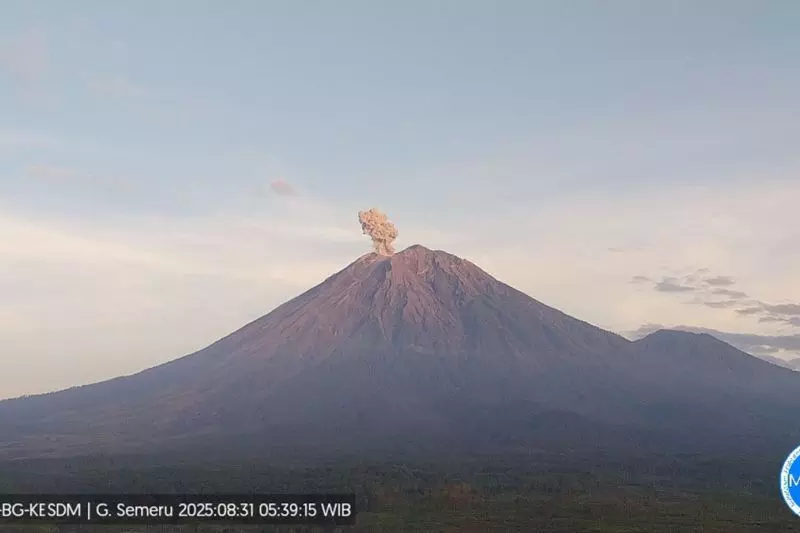 Gunung Semeru erupsi tiga kali dengan tinggi letusan hingga 900 meter Gunung Semeru erupsi tiga kali dengan tinggi letusan hingga 900 meter