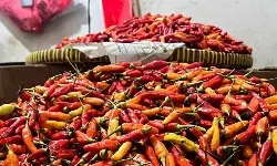 Bapanas: Harga cabai rawit Rp38.474/kg, bawang merah Rp41.292/kg