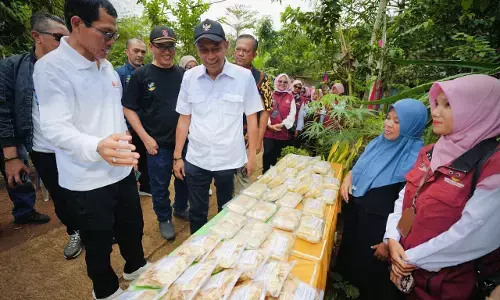 Kemensos bangun Kampung Berdaya di Banyumas
