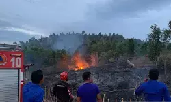 BNPB laporkan karhutla melanda Klaten, Sragen, dan Aceh Besar