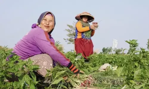 Masa depan pangan di tangan para petani keluarga Masa depan pangan di tangan para petani keluarga