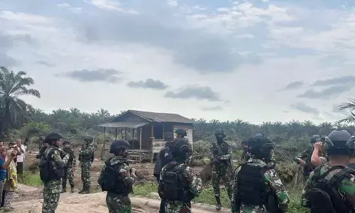 Mencari jalan tengah ruang hidup di Taman Nasional Tesso Nilo Mencari jalan tengah ruang hidup di Taman Nasional Tesso Nilo