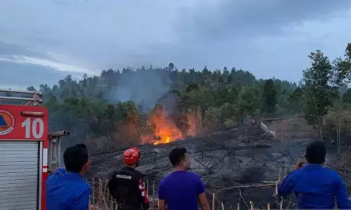 BNPB laporkan karhutla melanda Klaten, Sragen, dan Aceh Besar