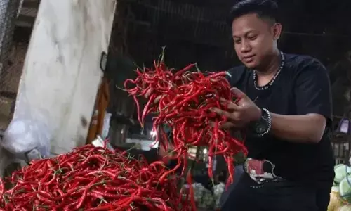 Bapanas: Harga cabai rawit Rp42.542/kg, bawang merah Rp43.202/kg Bapanas: Harga cabai rawit Rp42.542/kg, bawang merah Rp43.202/kg