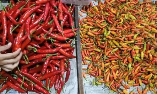 Bapanas: Harga cabai rawit Rp43.121/kg, bawang merah Rp43.095/kg Bapanas: Harga cabai rawit Rp43.121/kg, bawang merah Rp43.095/kg