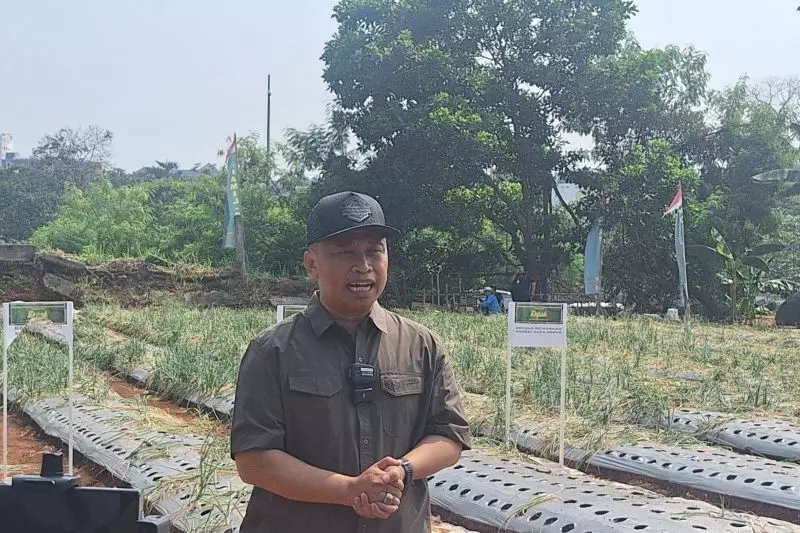 Wali Kota Depok ajak warga tanam cabai dan buah untuk perkuat ekonomi Wali Kota Depok ajak warga tanam cabai dan buah untuk perkuat ekonomi