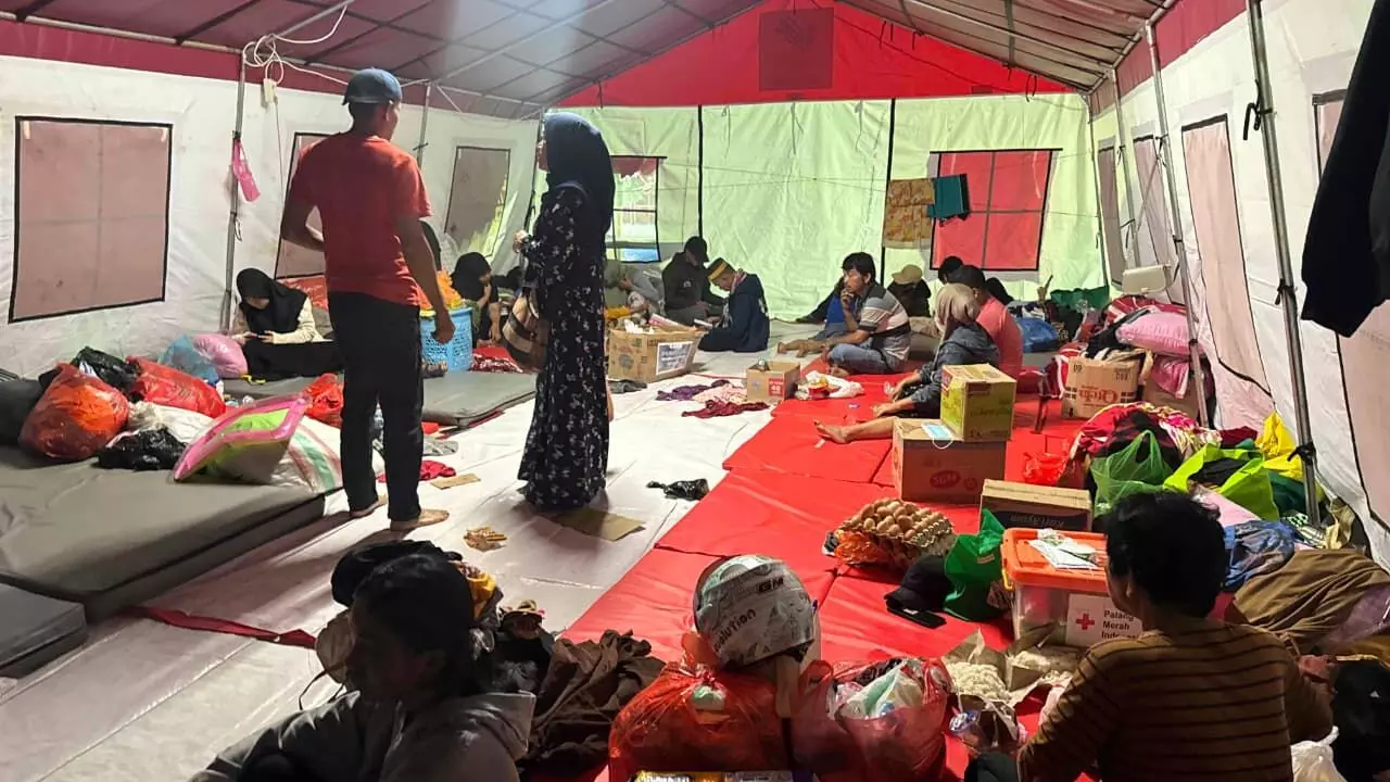 Kemensos kirim bantuan dan dirikan dapur umum korban kebakaran Luwu Timur Kemensos kirim bantuan dan dirikan dapur umum korban kebakaran Luwu Timur