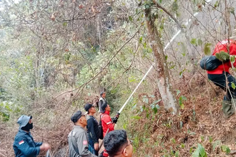 Tim gabungan Agam padamkan kebakaran hutan pinus seluas 9 hektare Tim gabungan Agam padamkan kebakaran hutan pinus seluas 9 hektare