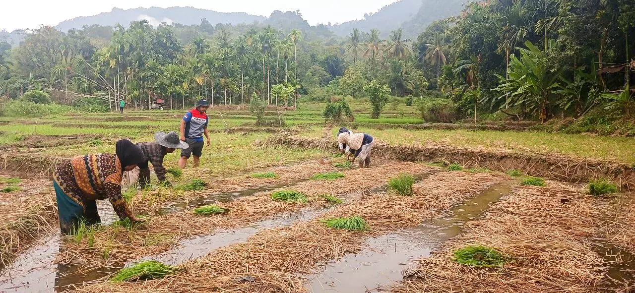 Pertamina Patra Niaga Sumbagut hadirkan pertanian berkelanjutan Pertamina Patra Niaga Sumbagut hadirkan pertanian berkelanjutan