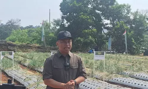 Wali Kota Depok ajak warga tanam cabai dan buah untuk perkuat ekonomi Wali Kota Depok ajak warga tanam cabai dan buah untuk perkuat ekonomi