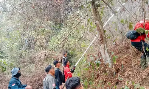 Tim gabungan Agam padamkan kebakaran hutan pinus seluas 9 hektare Tim gabungan Agam padamkan kebakaran hutan pinus seluas 9 hektare