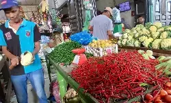 Jelang Maulid, harga cabai di Pasar Kota Panton Labu naik Jelang Maulid, harga cabai di Pasar Kota Panton Labu naik