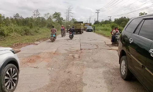 Viral di medsos, warga minta Gubernur Sumsel tangani jalan rusak Viral di medsos, warga minta Gubernur Sumsel tangani jalan rusak