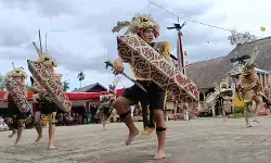 Badan Bahasa revitalisasi 120 bahasa daerah di Indonesia