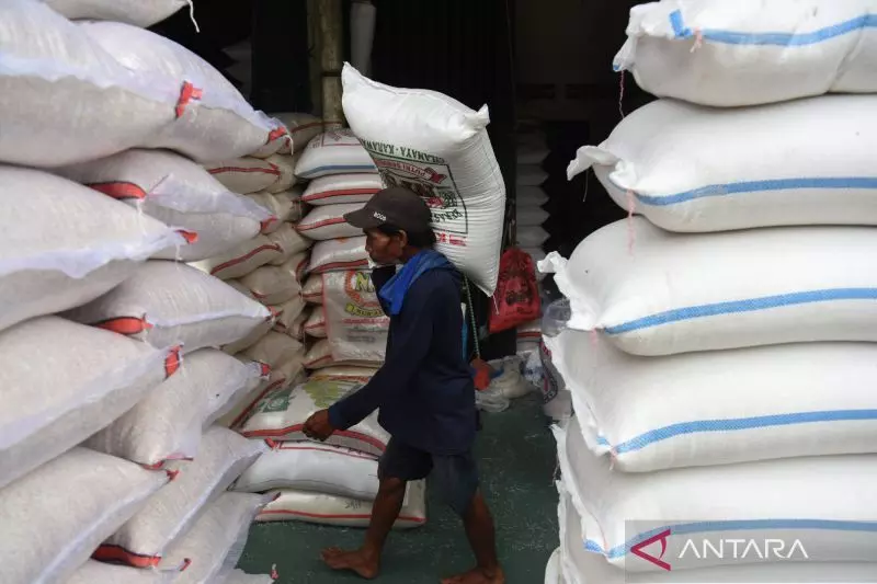 Harga beras dan cabai di Jakarta menurun