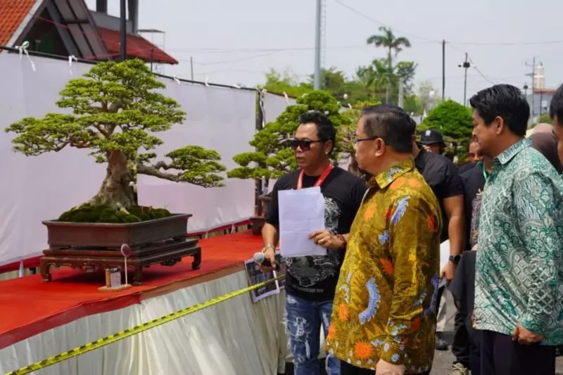 Pameran bonsai upaya dorong pertumbuhan ekonomi kreatif Pameran bonsai upaya dorong pertumbuhan ekonomi kreatif