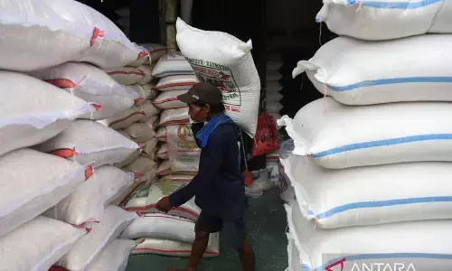 Harga beras dan cabai di Jakarta menurun