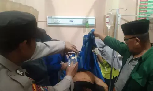 Harimau sumatera serang petani di Lampung Barat Harimau sumatera serang petani di Lampung Barat