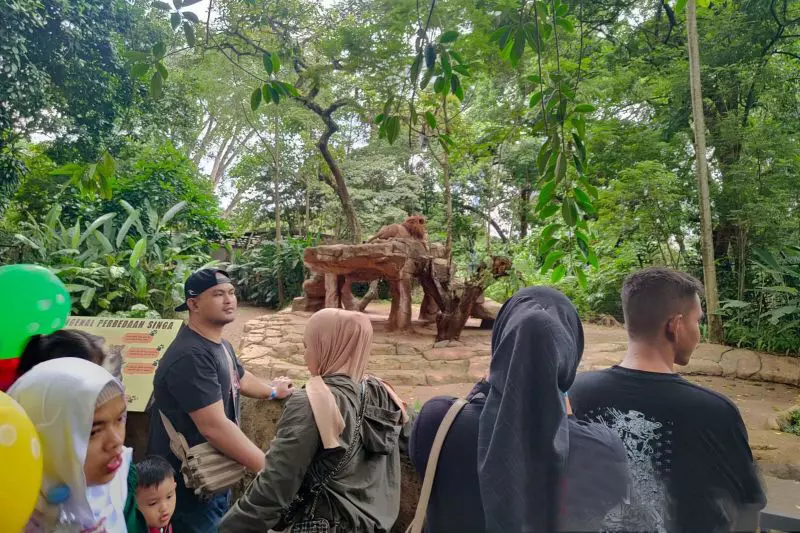 Guru besar Unpad dan terdakwa korupsi gugat pengelolaan Bandung Zoo Guru besar Unpad dan terdakwa korupsi gugat pengelolaan Bandung Zoo