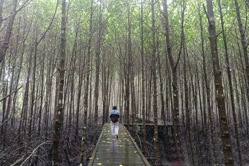 Bontang Mangrove Park, eduwisata yang menenangkan pikiran Bontang Mangrove Park, eduwisata yang menenangkan pikiran