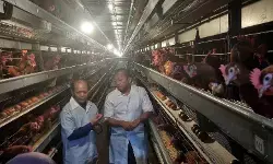 Kemendikdasmen jemput aspirasi DUDI untuk literasi ketahanan pangan