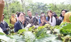 Karantina Lampung pastikan keamanan serta mutu kopi ekspor