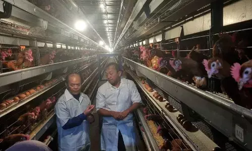 Kemendikdasmen jemput aspirasi DUDI untuk literasi ketahanan pangan Kemendikdasmen jemput aspirasi DUDI untuk literasi ketahanan pangan
