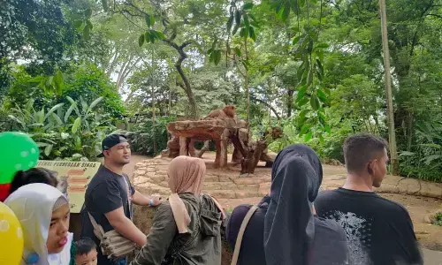 Guru besar Unpad dan terdakwa korupsi gugat pengelolaan Bandung Zoo Guru besar Unpad dan terdakwa korupsi gugat pengelolaan Bandung Zoo