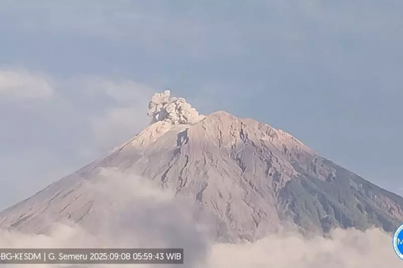 Senin pagi, Gunung Semeru erupsi delapan kali Senin pagi, Gunung Semeru erupsi delapan kali