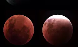 Warga Madiun ikut amati fenomena blood moon dan gelar shalat gerhana Warga Madiun ikut amati fenomena blood moon dan gelar shalat gerhana