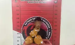 Polisi amankan 2,7 kg ganja dari seorang pria di SPBU Lhoksukon