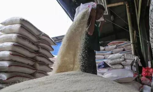 Bapanas: Beras premium Rp15.733/kg, beras medium Rp13.759/kg