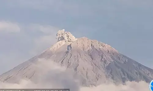 Senin pagi, Gunung Semeru erupsi delapan kali Senin pagi, Gunung Semeru erupsi delapan kali