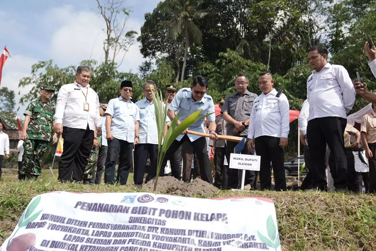 Sleman tanam bibit kelapa, dukung program ketahanan pangan Sleman tanam bibit kelapa, dukung program ketahanan pangan