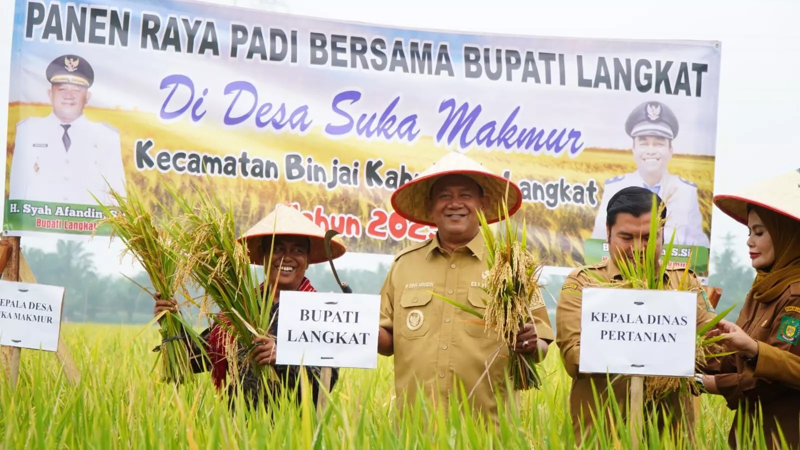 Hadiri syukuran panen raya di Suka Makmur, Bupati: Langkat adalah lumbung pangan
