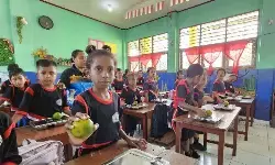 Pangan lokal jadi andalan Papua untuk sukseskan MBG