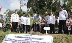 Sleman tanam bibit kelapa, dukung program ketahanan pangan